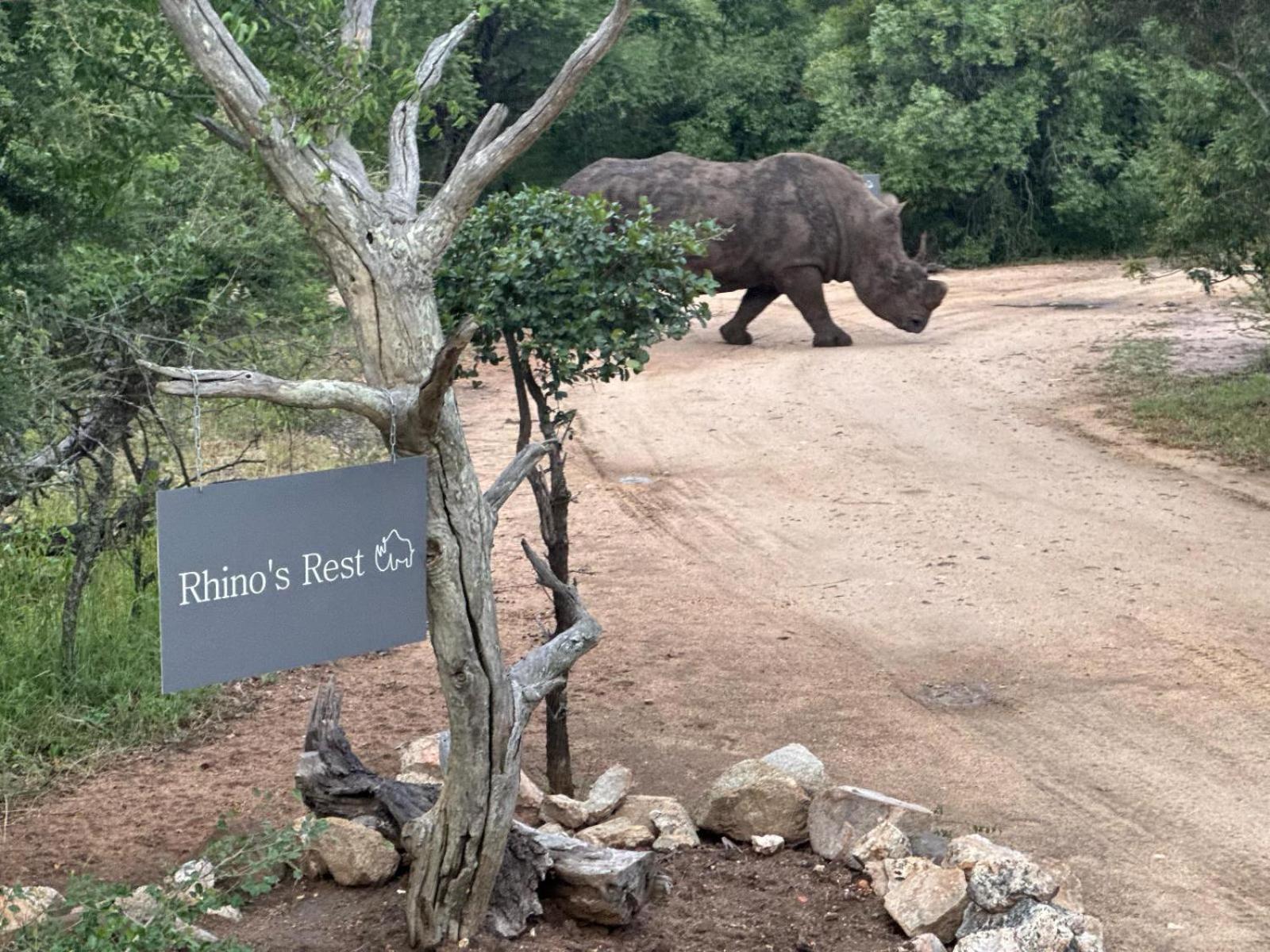 Rhino'S Rest Private Luxury Villa Hoedspruit Dış mekan fotoğraf